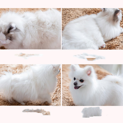 ClawPaws™ Fellpflege-Massagebürste