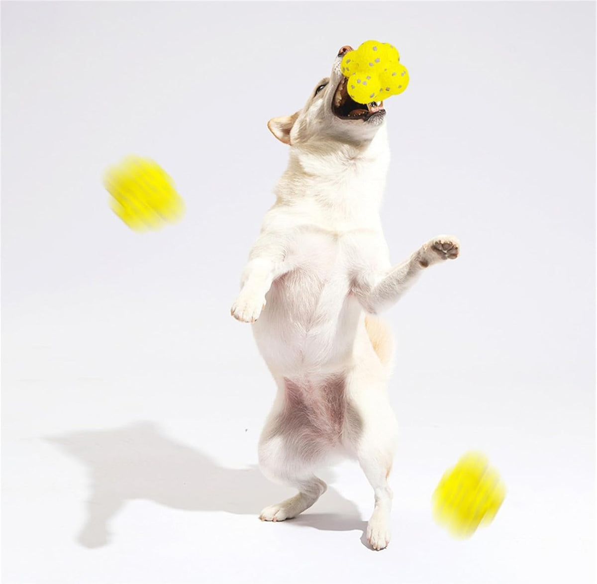 ClawPaws™ Beruhigungsball für Hunde
