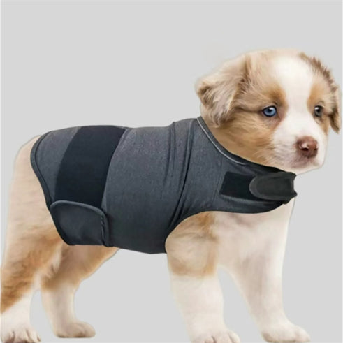 ClawPaws™ Beruhigungsweste für Hunde